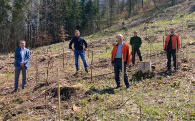 GEO DATA pflanzt eigenen Klimawald in Westhausen